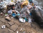 قارئ يشكو انتشار القمامة أمام مدرسة سان جورج بالمنطقة السادسة بمدينة نصر