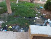 قارئ يشكو انتشار القمامة وتكرار أعطال المياه لرى الحدائق بمدينة بدر