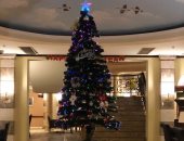 صور.. الصيد يستعد لاستقبال العام الجديد بحفلات فى كل فروعه