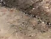 قارئ يشكو من عدم وجود شبكة للصرف الصحى قرية بناويط بمحافظ سوهاج