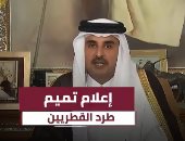 قطريليكس:القطريون فقدوا ثقتهم فى الصحافة والتليفزيون لغياب الكوادر الوطنية
