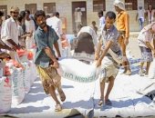 الأمم المتحدة تشترى 20 ألف طن من القمح للشحن إلى اليمن