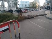 صور.. الطقس السيئ يضرب الإسكندرية بنوة "الفيضة الكبرى"