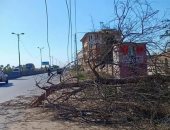 سرعة الرياح تتسبب فى قطع أسلاك الكهرباء ووقف حركة الصيد ببوغاز دمياط