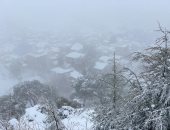 5 قتلى و2000 شخص عالقون في جبال الألب بسبب الثلوج الكثيفة