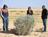 صور.. بروتوكول بين "اكساد" و"بحوث الصحراء" لتنفيذ 400 بئر و99 مزرعة بمطروح