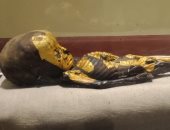 شاهد.. جماجم وهياكل عظمية بمعرض "إعادة اكتشاف الموتى" بالمتحف المصرى
