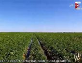 "كل يوم" يعرض تقريرا حول التنمية الزراعية المتكاملة بمصر منذ تولى الرئيس الحكم