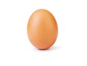 هكذا حصدت "بيضة" 30 مليون "لايك" على انستجرام