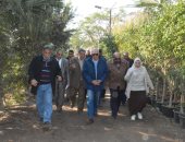 الجيزة: تحويل 43 مشتل للزهور والنباتات لوحدات إنتاجية