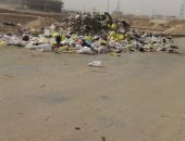 قارئة تشكو من انتشار القمامة بمنطقة الحى العاشر فى مدينة نصر 