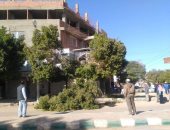 فيديو وصور .. رئيس مركز الداخلة يقود حملة نظافة وقص وتقليم الأشجار بموط