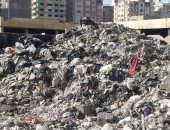 اضبط مخالفة.. القمامة والكلاب الضالة تحاصر سكان "الضواحى" ببورسعيد