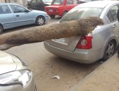 صور.. عاصفة ترابية بالإسماعيلية وسقوط أشجار على سيارات بحى أول