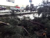 توقف حركة الصيد فى بحيرة المنزلة بسبب سوء الأحوال الجوية.. صور