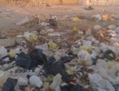 قارئة تشكو انتشار القمامة بشارعى "صقر قريش والسويسرى" بمدنية نصر