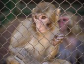 صورة اليوم.. وحدى لكن ونسان