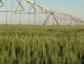 محافظ الوادي الجديد يعلن إضافة 130 ألف فدان للرقعة الزراعية بالمحافظة