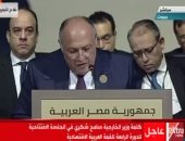 سامح شكرى بقمة بيروت: الطلب على الكهرباء يزيد بالمنطقة العربية بنسبة 84% فى 2020