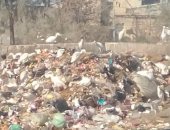 قارئ يشكو وجود مقلب قمامة بشارع الدكتور فؤاد سعيد بالعمرانية الغربية
