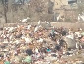 قارئ يشكو انتشار القمامة بشارع زغلول بكفر الجبل فى الهرم