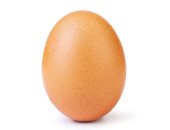 "بيضة إنستجرام" تحقق رقما قياسيا جديدا.. تفتكر وصلت لكام مليون لايك؟