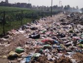 قارئ يشكو من انتشار القمامة بمدخل قرية أبشيش مركز الباجور