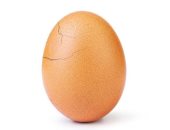 بيضة إنستجرام الثالثة تتخطى 5 ملايين "لايك" فى أقل من 48 ساعة