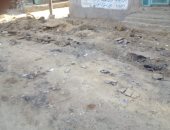 قارئ يطالب برصف طريق قرية  انشاص البصل بالشرقية