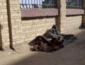 تضامن القاهرة: وزعنا 223 وجبة و80 بطانية على المشردين بالشوارع