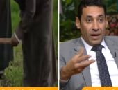 الزراعة: معندناش نقيب فلاحين.. و10 جنيهات للفدان مش حاجة لمكافحة الذباب