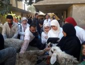 جامعة بنها تنظم قافلة بيطرية لقرية أجهور والعلاج بالمجان