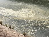 درجات الحرارة المرتفعة تهدد نهرا فى أستراليا بكارثة طبيعية .. اعرفها