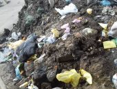 قارئ يشكو تراكم القمامة بمدخل قرية الحسايبة فى المنيا