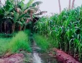 "منطقتى".. قارئ يشارك بصور لمحافظة قنا "المحروسة أحلى مكان"