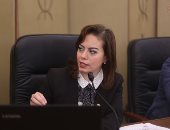 سيلفيا نبيل: موازنة البرامج والأداء المقدمة من التخطيط لا ترقى لمستوى الوزارة