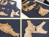 تاريخ الملابس الداخلية النسائية.. اكتشاف قطع تعود إلى 500 سنة فى النمسا