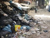 شكوى من انتشار القمامة بشارع الجملة بالعياط