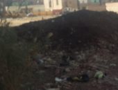 قارئ يشكو من انتشار القمامة والأوبئة بشارع الجمعية بمنيا القمح بالشرقية