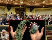 تعديلات قانون مكافحة المخدرات تحت قبة البرلمان.. وكيل دفاع النواب: ضم الأستروكس للمواد المخدرة يتصدى لانتشاره.. نائبة: يمنع تلاعب تجارها للهروب من العقوبات.. وبرلمانى: تغليظ العقوبات لـ"الإعدام" يواجه الظاهرة