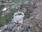 قارئ يعانى من وجود مصرف صرف صحى يسبب الأمراض بقرية الطواحنية بكفر الشيخ