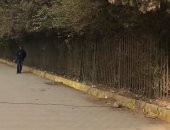 قارئ يشكو سرقة الباعة الجائلين للكهرباء بشارع مكرم عبيد أمام حديقة الطفل