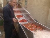 ضبط مصنع يستخدم الطماطم الفاسدة فى تصنيع الصلصة بالشرقية 