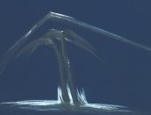 قاعة صلاح طاهر تنظم معرض إلهامات من وحى الخيال.. 9 فبراير