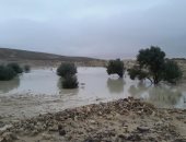 مشروع قانون الرى الجديد يساهم فى تعزيز الاستفادة من مياه الأمطار..اعرف التفاصيل