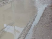 قارئ يشكو تراكم مياه الأمطار بقرية الربع مركز البرلس فى محافظة كفر الشيخ