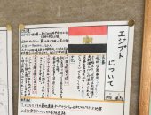 شكرا.. مرحبا.. هكذا يستقبل أطفال اليابان المصريين.. صور