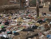 شكوى من تراكم القمامة بشارع الغشام فى الشرقية