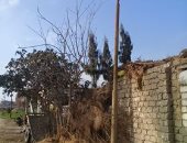 قارئ يطالب بتغيير أعمدة الكهرباء بعزبة عمر بن الخطاب بالشرقية لخطورتها