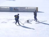 باحثون سويسريون يدربون روبوت على التزحلق على الجليد.. فيديو